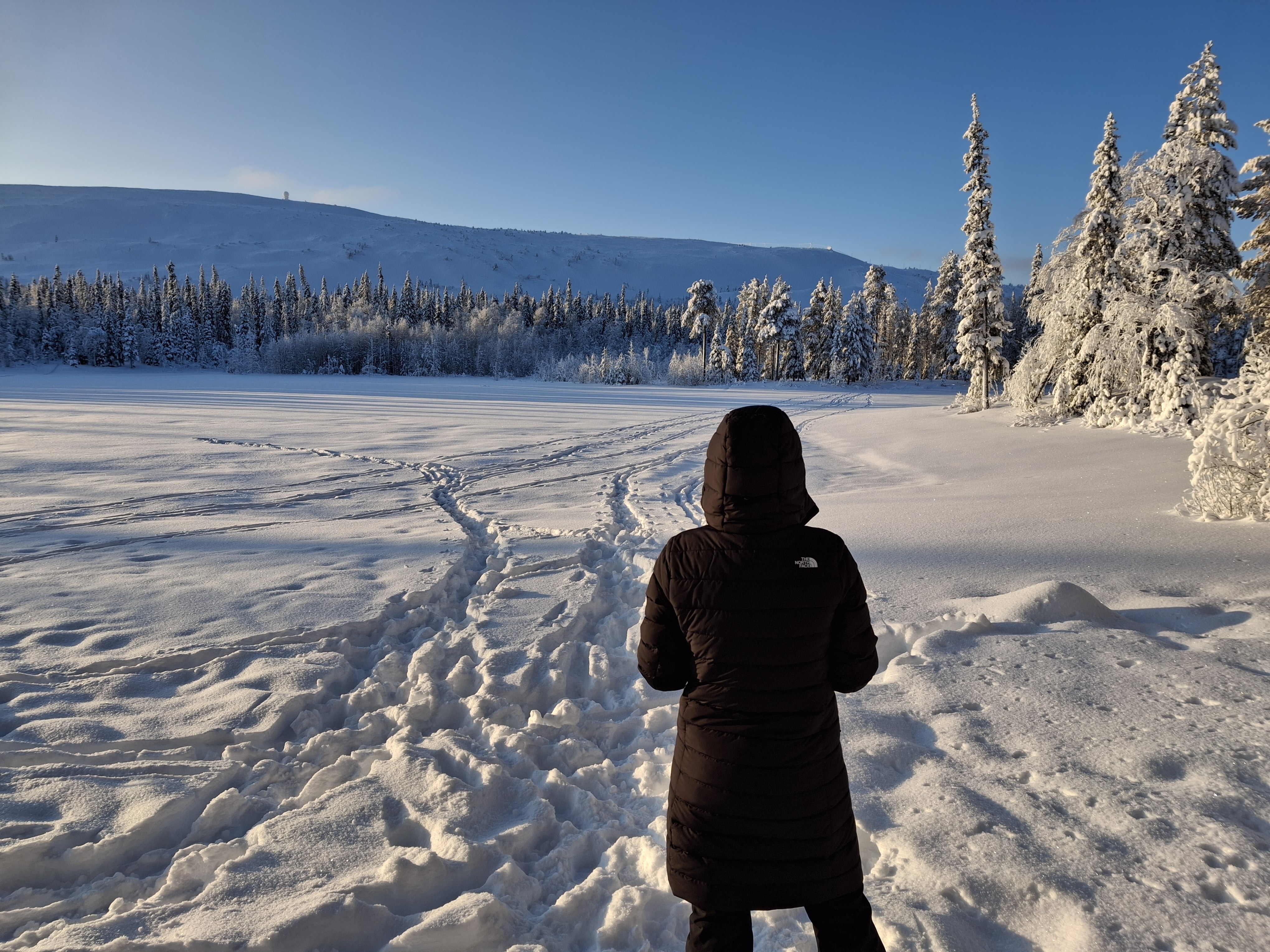 Lappland erleben: Eine Woche voller Abenteuer in Luosto