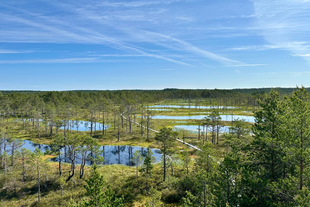 Estland – Ein Land, das Herzen erobert